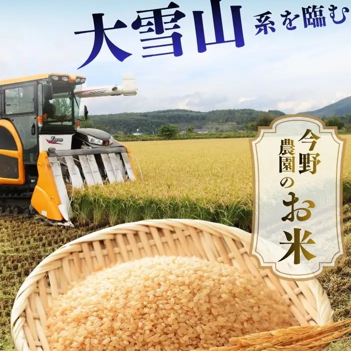 令和7年産 今野農園 ゆめぴりか 玄米 10kg 【ピリカ(株)】 化学肥料不使用 米 お米 北海道米 特Aランク 国産 コメ 2025年産 北海道 比布町 ぴっぷ 1012-008