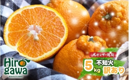 不知火（デコポン）訳あり 5kg （サイズ混合） ※2027年2月中旬～4月中旬に順次発送予定 ※北海道・沖縄・離島への配送不可 / しらぬい 柑橘類 果物 和歌山 有田 広川【nuk010-noka-5】
