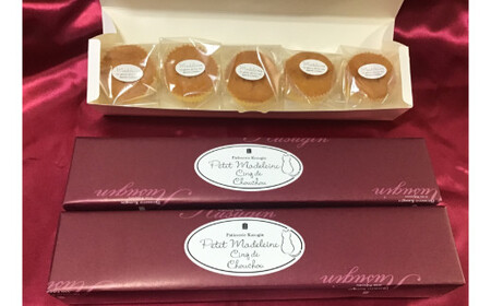 プティマドレーヌ　ｃinq de chouchou（サンクドシュシュ）(B979-2) 