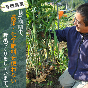【栽培期間中、農薬・化学肥料不使用】桐島畑の季節野菜詰め合わせ(5種類)(定期便12か月コース)　Rfkh-A02 ／ やさい 国産野菜 四万十 高知 季節 フレッシュ 旬 無農薬 有機農業 野菜セット 新鮮 フレッシュ こだわり栽培 安心安全