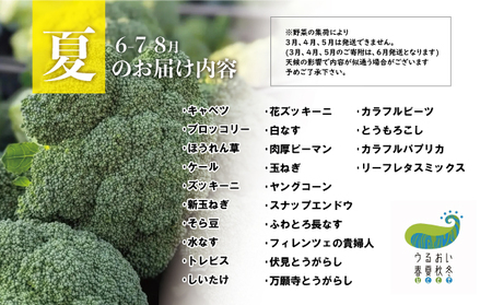 【 6ヶ月 定期便 / 予約受付 6月発送開始予定 】シェフ御用達！ 農園自慢 ★ 彩り 野菜セット（ 7品 目以上～）旬の野菜 詰め合わせ 岩手県 北上市 J0076