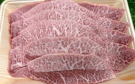 海外で選ばれる上州和牛セット プロが肉市場で厳選！ A5レベルの上州和牛セット（部位:みすじ・さんかく・切り落とし） 2.8kg以上 牛 牛肉 ビーフ 肉 食品 F21K-447