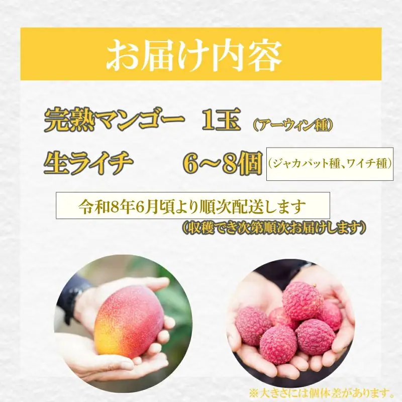 【令和8年6月ごろより発送】先行予約 完熟マンゴーと生ライチのセット マンゴー 生ライチ