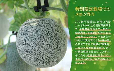 《先行予約》アールスメロン 大玉2kg 2玉  特別限定栽培 八右衛門