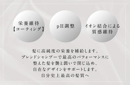 アペルタムリペアトリートメント　レフィル トリートメント _OS058-0004