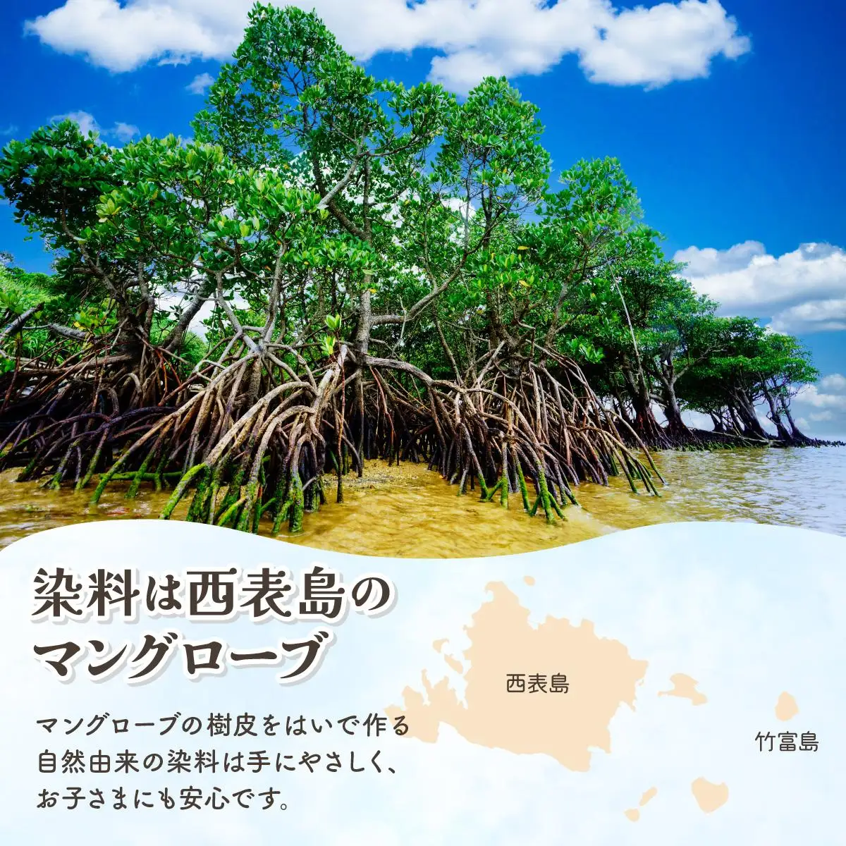 西表島のマングローブ海染め体験　Tシャツ作りコース（約2時間）