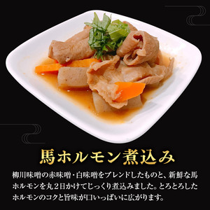 馬力セット 3種類 セット 計630g ホルモン煮込み しぐれ煮 スジ煮込み 株式会社有働精肉店《30日以内に出荷予定(土日祝除く)》熊本県 菊池市 おつまみ 惣菜 馬肉 ホルモン すじ肉 熊本県産 九州産 国産 冷凍 送料無料