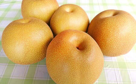 九重町産 梨 約5kg 豊水 新高 果物 フルーツ 大分県産 【2026年9月上旬-10月上旬発送予定】