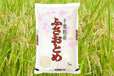 令和7年 千葉県産「ふさおとめ」10kg（精米）　竹ノ内米店