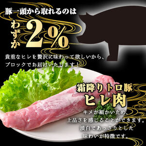 鹿児島県産 霜降り トロ豚 豚肉 極み ヒレ肉(800g)【KNOT】 A623
