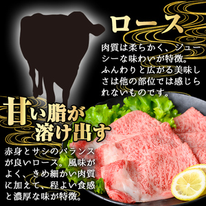 鹿児島県産 A5等級 黒毛和牛 霜降り ロース すき焼き用 (計500g) 【KNOT】 A644-v01