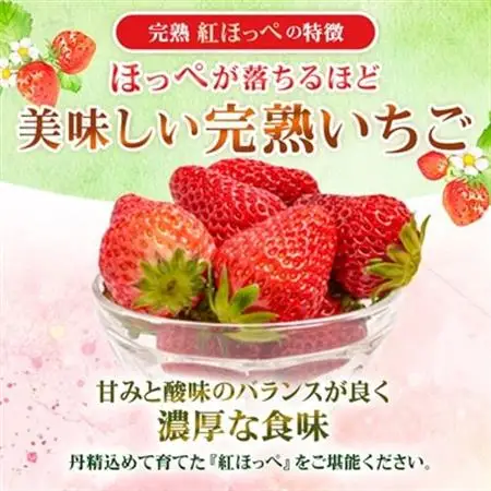 静岡県掛川市産　ミズノ農園の完熟いちご　『紅ほっぺ』約280g×4パック【配送不可地域：離島・北海道・沖縄県・四国・九州】【1140800】
