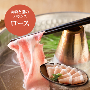 宮崎県産豚ロースしゃぶしゃぶ用 1.5kg K16_0189