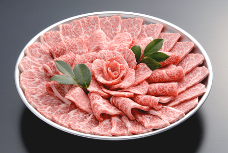 近江牛 定期便 4か月 4回 千成亭 自慢の逸品 【AF13W】 近江牛 定期便 牛肉 焼肉 すき焼き ステーキ