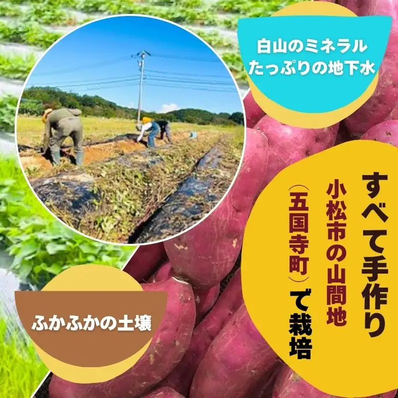 【先行予約】『販売期間限定 』干しいも　250ｇ×3袋セット　010225