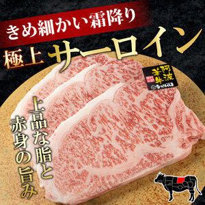 牛肉 黒毛和牛 サーロイン ブロック 3kg A5等級 阿波華牛 和牛 ぎゅうにく 牛 ぎゅう