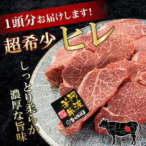牛肉 黒毛和牛 ヒレ ブロック 7kg A5等級 阿波華牛 和牛 ぎゅうにく 牛 ぎゅう