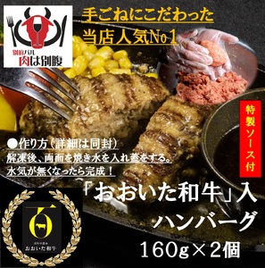 大分・別府特産肉盛り_B172-007