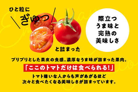 スパルタ生まれの笑ちゃんのトマトジュース 500g×12本  笑ちゃん トマトジュース ジュース 野菜ジュース トマトジュース ミニトマト フルーツトマト トマト 食塩不使用 GC-32