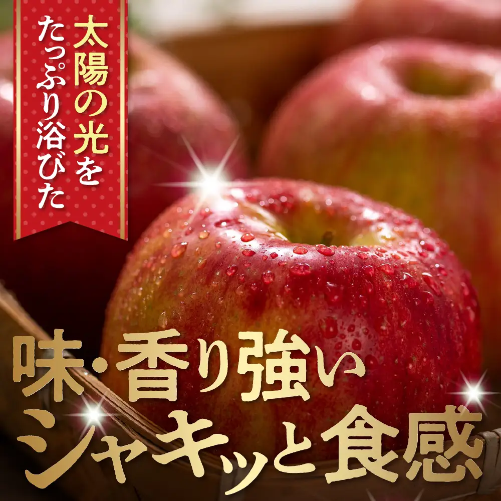 【2026年産】 りんご 「【横綱】 サンふじ 」 5kg りんご