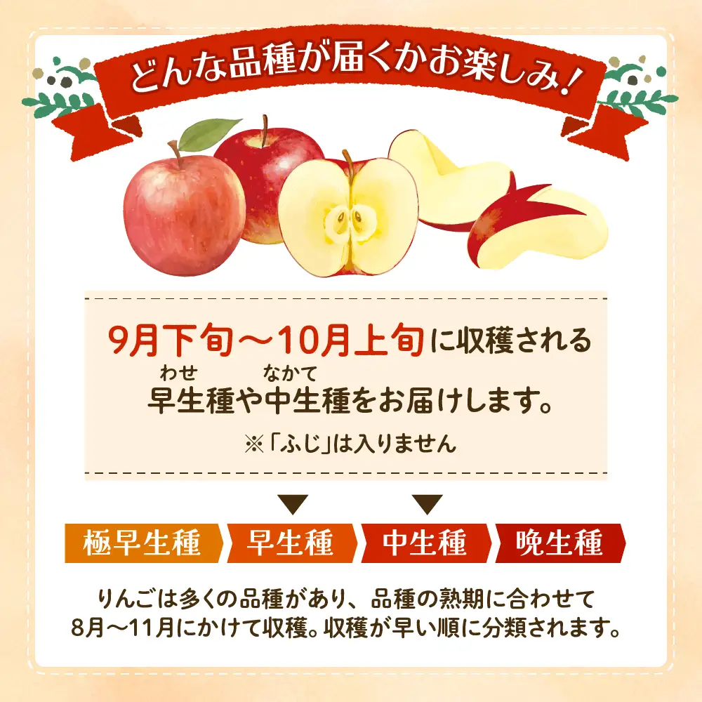 【2026年産】 りんご ( 品種おまかせ ) 10kg りんご