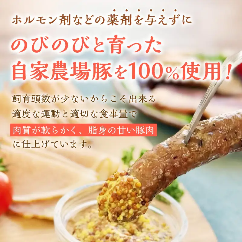 フレンズハム 手造り厳選セット ( お肉 にく ウインナー ベーコン ハム プレスハム ロースハム 生ハム ソフト サラミ 厳選 セット おつまみ 贈答 贈り物 ギフト プレゼント )【047-0004】