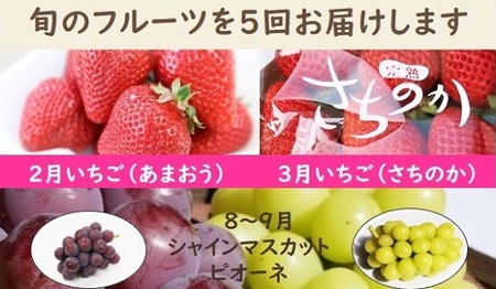 【年5回】旬のフルーツ定期便★あんずの里【随時開始】[H7032]