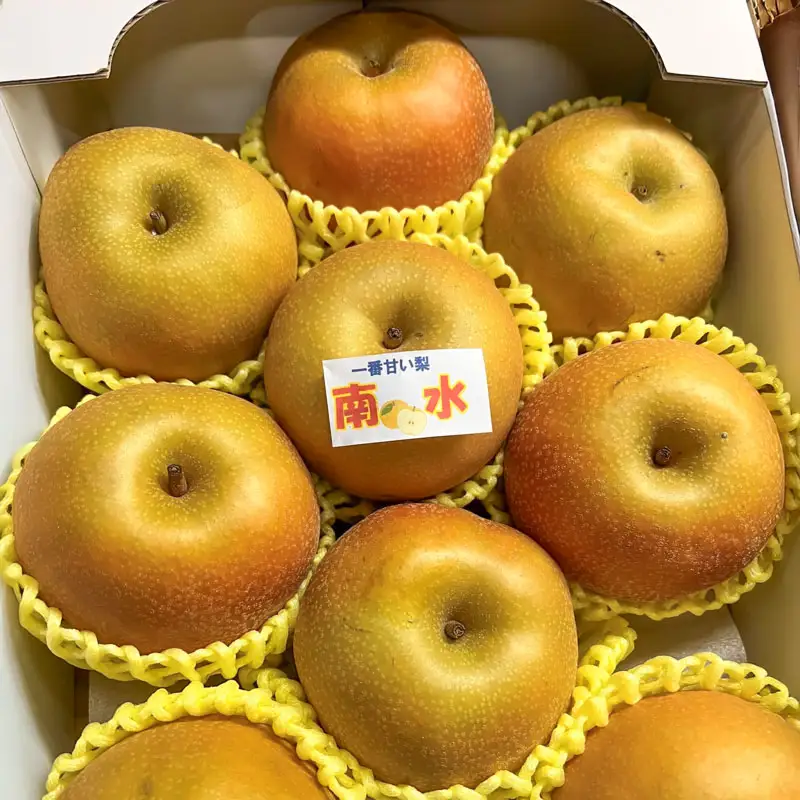 【令和8年産先行予約】 南水(和梨)  約3kg 箱入り (7～9個入り) 山形県鶴岡市　伊藤農園