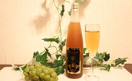 6ヵ月 定期便 プレミアム葡萄ジュース【ナイアガラ】500ml×4本 化粧箱入り ぶどう ブドウ ジュース 飲料 果物 くだもの フルーツ  [カムナビファーム]