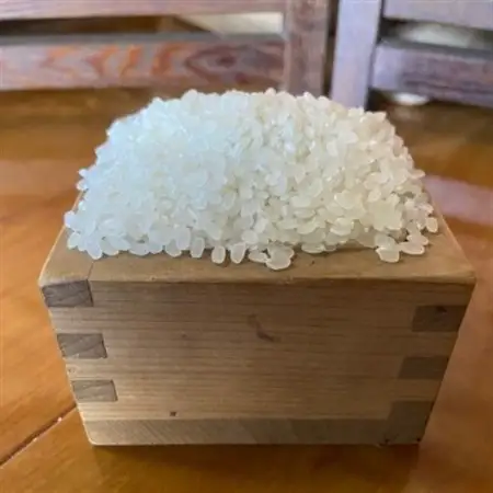 お米　ヒノヒカリ　(白米)  5kg_ 精米 米 _【1578024】