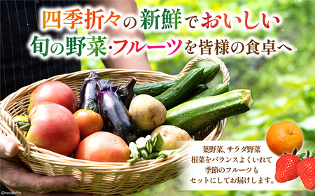 【12回定期便】野菜定期便 [SCB093]