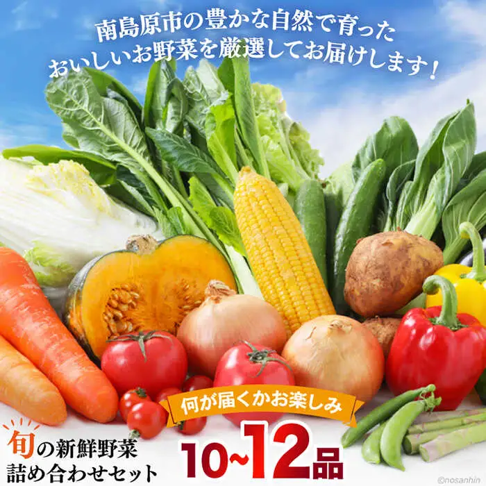 【6回定期便】2ヵ月に1回 旬の新鮮 野菜詰め合わせセット（10品-12品）/ 野菜 定期便 やさい 定期便 野菜セット やさいセット 春野菜 夏野菜 秋野菜 冬野菜 旬新鮮 / 南島原市 /長崎県農産品流通合同会社[SCB096]