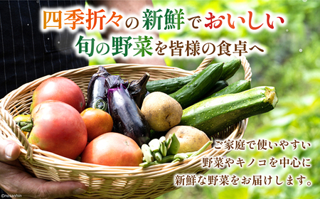 【12回定期便】野菜定期便 [SCB097] 