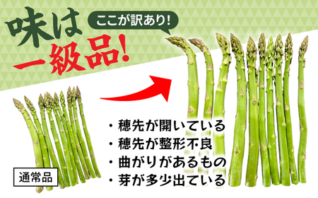【先行予約・訳あり】モーモーアスパラ 夏芽 M / L / 2L セット 1.2kg（6月上旬から順次発送） アスパラガス[ARAI034]