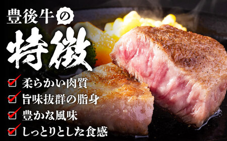 【厳選希少部位】おおいた豊後牛 ミスジステーキ 500g(100g×5P) 日田市 黒毛和牛 ステーキ 牛肉 希少 豊後牛 ミスジ [AREI025]