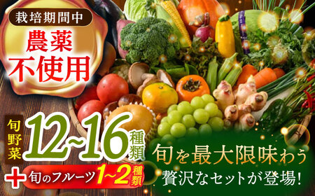 【全3回】【2ヶ月に1回】旬野菜 定期便 （野菜・フルーツ）[AGBX036]定期便 3回