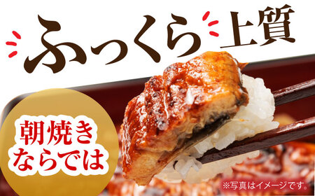【12回定期便】朝焼きうなぎ蒲焼 2尾 / うなぎ 国産うなぎ うなぎ うなぎ蒲焼 うなぎ蒲焼き 高知県産うなぎ[ATAF088]