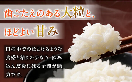 【3回定期便】【R7年産】 白米ハツシモ 15kg 白米 15kg 白米定期便[ANCU011]