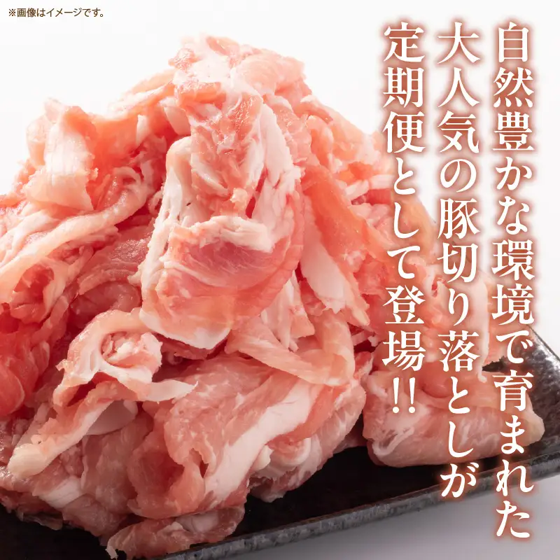 数量限定 6か月 お楽しみ 定期便 小分けで便利 豚 切り落とし 総重量18kg お肉 豚肉 国産 小分け 真空パック 個包装 万能食材 おすすめ おかず 食品 お弁当 豚丼 しゃぶしゃぶ お祝い 記念日 宮崎県 日南市 送料無料_KD1-24