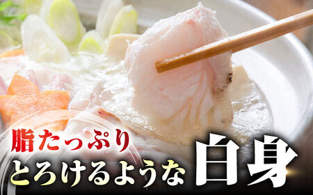 【全12回定期便】【 対馬産 】 天然 クエ 500g （切り身） 鍋 水炊き クエ 天然クエ [WAB020]