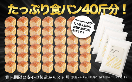 北海道産 スペルト小麦全粒粉 ディンケルスター 10kg MROBI004