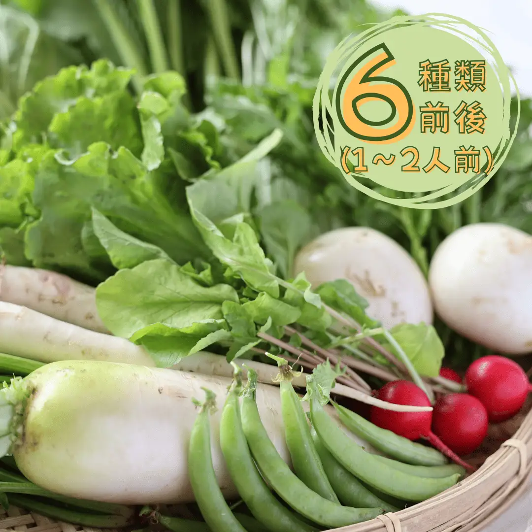 定期便4カ月　有機野菜ちいさな畑セット（Sサイズ　１～２人前）（NK-T520）