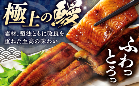 【6回定期便】三代目天の鰻蒲焼 1尾 / 鰻 鰻蒲焼 鰻蒲焼き 鰻 鰻蒲焼 鰻蒲焼き[ATAD057]