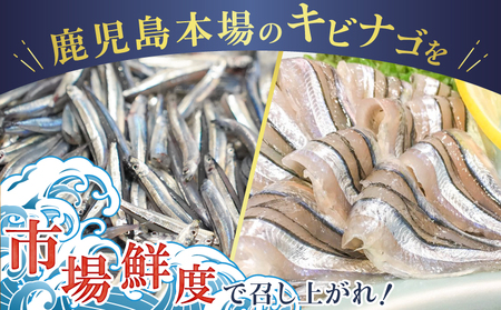 鹿児島産 キビナゴ刺身 40尾 4人前 K100-010 魚 冷凍