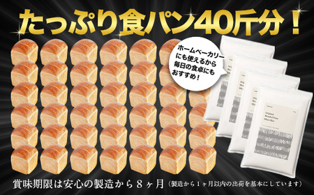 北海道産 はるゆたかブレンド小麦粉 シルバーライズ（パン用強力粉）10kg MROBI016