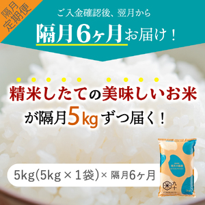 青天の霹靂　5kg【定期便-隔月6回】令和7年産米_精米_青森県産【特A_8年連続取得】晴天の霹靂_五所川原市_PEBORA