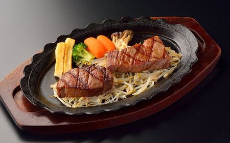 仙台牛ヒレ&サーロインセットA(5人前)/ヒレ150g×5P・サーロイン200g×5P【iseya009】