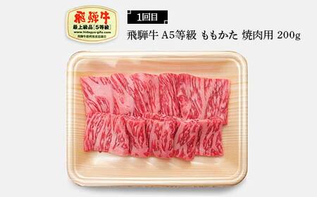 飛騨牛 A5等級 満喫 定期便 全4回 食べ比べ 200g F4N-1694