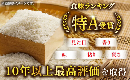 令和7年産 さがびより 白米 5kg / 白米 [41ADAR015-07]