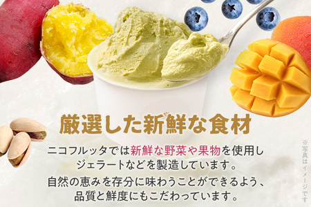 人気の定番フレーバーと季節のジェラート 詰め合わせセット 8個 アイスクリーム アイス ジェラート スイーツ デザート ミルク ピスタチオ 八女抹茶 チョコレート 福岡県 福岡 九州 お取り寄せ